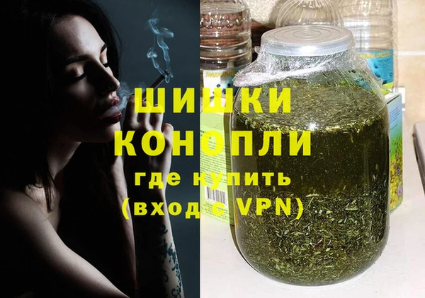 шишки Ладушкин