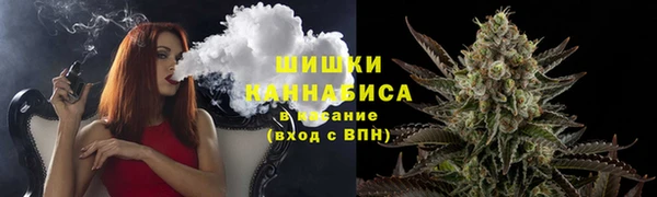 ПСИЛОЦИБИНОВЫЕ ГРИБЫ Лихославль