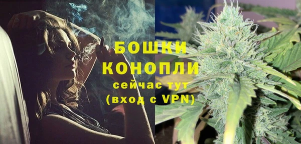 ПСИЛОЦИБИНОВЫЕ ГРИБЫ Лихославль