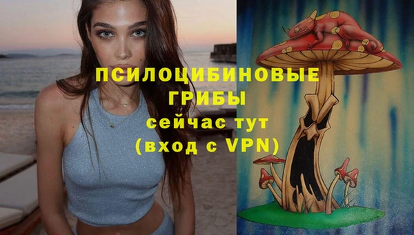 ПСИЛОЦИБИНОВЫЕ ГРИБЫ Лихославль