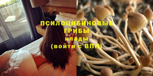 крисы Лабытнанги
