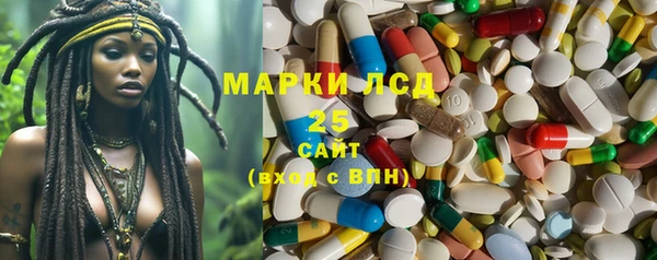 крисы Лабытнанги