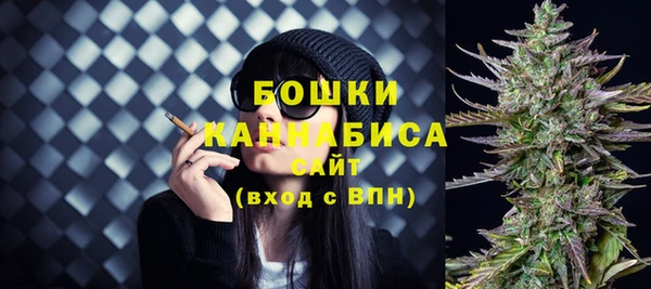 ПСИЛОЦИБИНОВЫЕ ГРИБЫ Лихославль