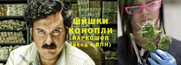 гидропоника Лагань