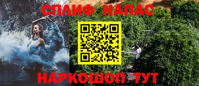 прущие грибы Кандалакша