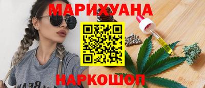 прущие грибы Кандалакша