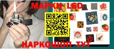 прущие грибы Кандалакша