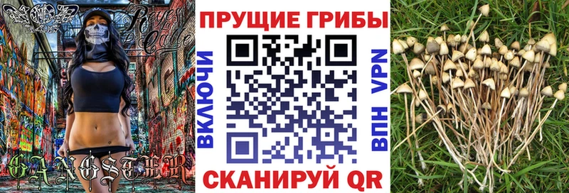 даркнет сайт  Павлово  мега ссылка  Псилоцибиновые грибы GOLDEN TEACHER 