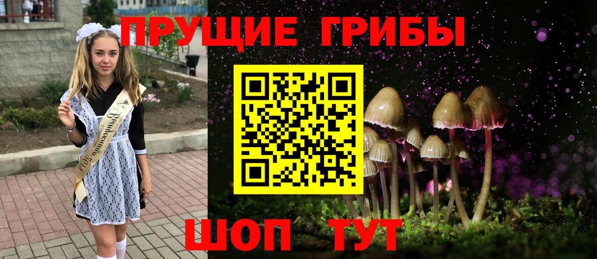 Псилоцибиновые грибы MAGIC MUSHROOMS Павлово
