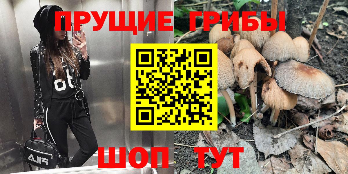 закладка  Вход с VPN  Галлюциногенные грибы мухоморы  Павлово  Псилоцибиновые грибы GOLDEN TEACHER 
